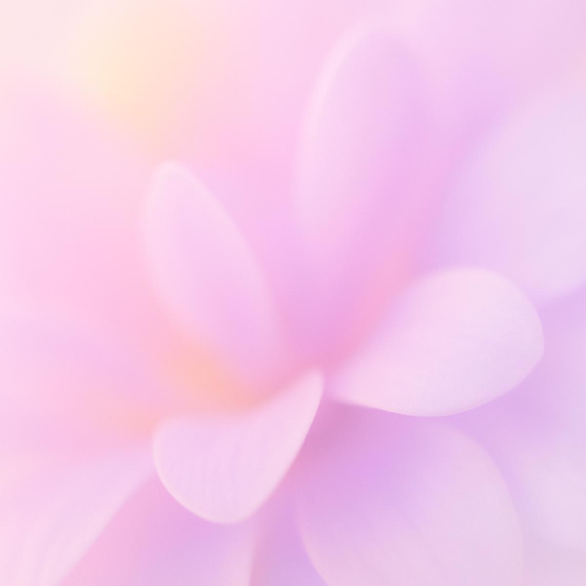Spring Update 2026